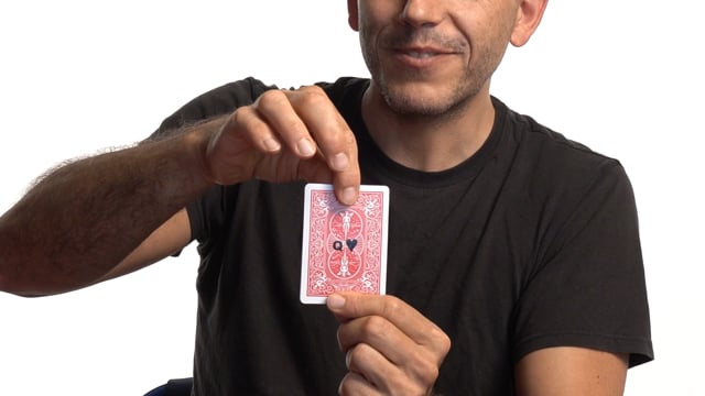Video Prediction Metamorphosis