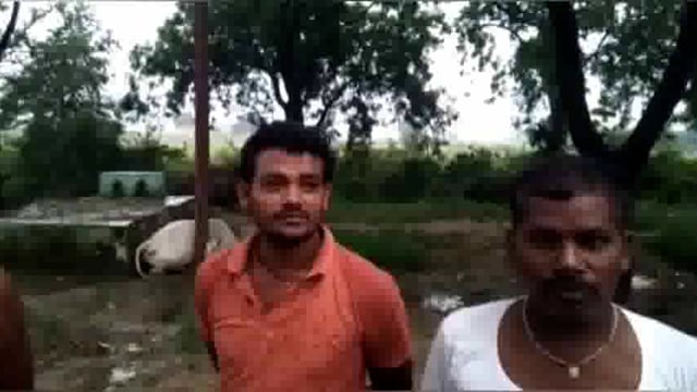 जालौन:बिजली विभाग की लापरवाही:खंबे में दौड़ते करंट को नहीं कराया सही,चपेट में आई गाय हुई मौत