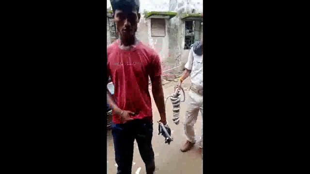 प्रयागदह हरखा पोखर गांव में मकई से भरा बोड़ी चोरी कर भाग रहे युवक को ग्रामीणों ने पकड़ कर किया पुलिस के हवाले, भेजा जेल