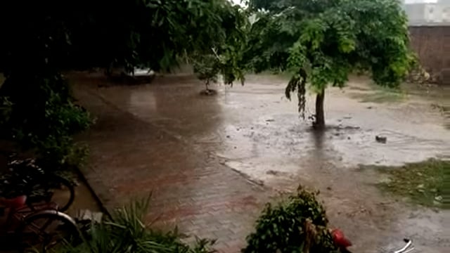 राया क्षेत्र में बारिश जारी :किसानों के खिले चेहरे