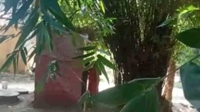 #अमेठी में दबंग महिला ने घर के बाहर बंधी गाय को डंडो से पीटा वीडियो वायरल