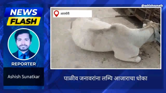 पशुपालकांनी लंपीं आजारापासून सावधान 