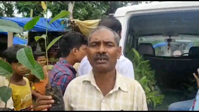 मिशन हरियाली के द्वारा किया गया निःशुल्क फलदार पौधों का वितरण