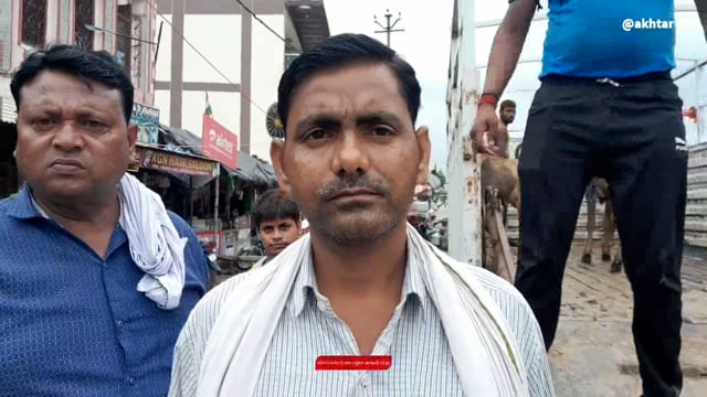 खबर औरैया से। नगर पालिका कर्मचारी लल्लन शुक्ला ने बताया अभी तक 26 जानवरों को पकड़ा है।