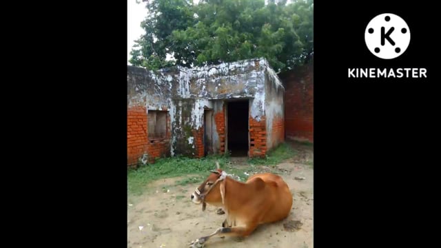 प्रतापगढ़ जिले के बिहार ब्लाक टेकी पट्टी ग्राम सभा में आंगनबाड़ी केंद्र अपनी बदहाली पर हो रहा है जिम्मेदार बने मूकदर्शक