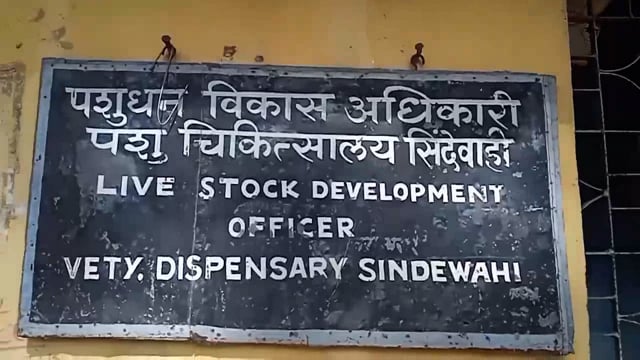 सिंदेवाही तालुक्यात