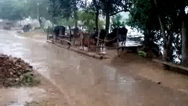 सोनई क्षेत्र में बरसात जारी 