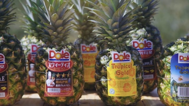 Dole Pineapples - Taste the Sunshine