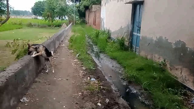 यह रास्ता गांव से वाला काला स्कूल के लिए जाता है कई बार ब्लॉक में शिकायत थी नहीं हुई सुनवाई