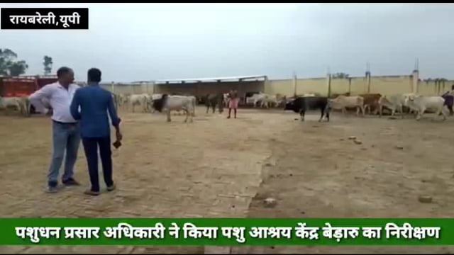 पशुधन प्रसार अधिकारी ने किया पशु आश्रय केंद्र बेड़ारु का निरीक्षण