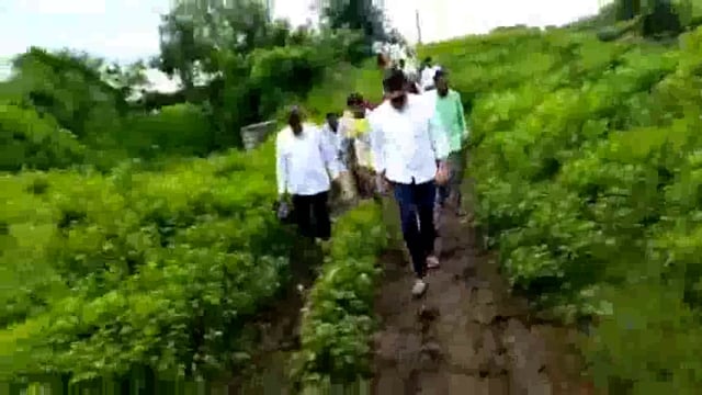 धामणगाव मतदार संघात ढगफुटी सदृश्य परिस्थितीमुळे ओला दुष्काळ जाहीर करा