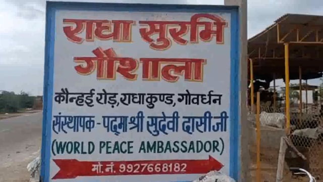 राधाकुंड इस्थित सुरभि गोशाला में 25 गाय हुई लम्पी वायरस का शिकार , उपचार के लिए रखा गया अन्य गायों  से दूर ।