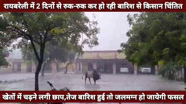 2 दिनों से हो रही बारिश ने बढ़ाई किसानों की चिंता