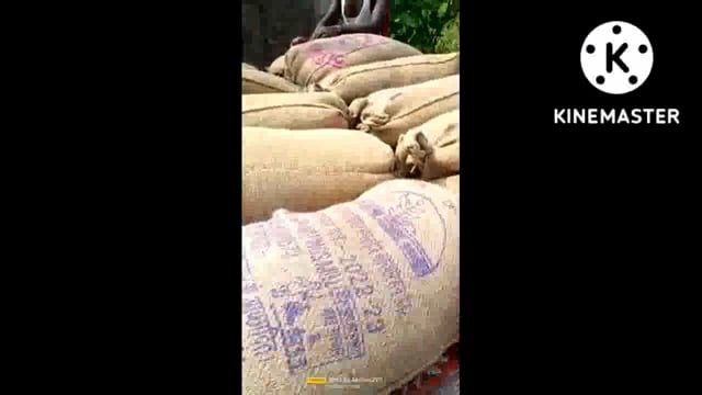 नालंदा: एकंगरसराय गोदाम से हो रही चावल की कालाबाजारी।