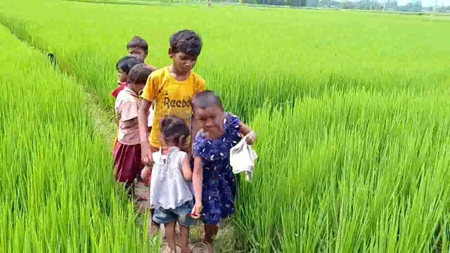 हरखा ऋषिटोला आंगनबाड़ी केंद्र संख्या 074 में रास्ता नहीं होने से बच्चों को केंद्र पर पहुंचने में होती है परेशानी