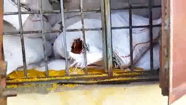 बाल विकास कार्यालय राया को चोरों ने बनाया निशाना: पोषाहार हुआ चोरी