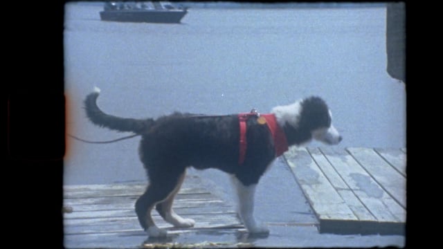 Kabetogama Lakes Resorts — 4