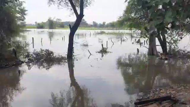 नवाबगंज क्षेत्र मे बह रही कुटिला सरयू नदी का लगातार तेजी से बढ़ रहा जलस्तर दर्जनों गांव चपेट में