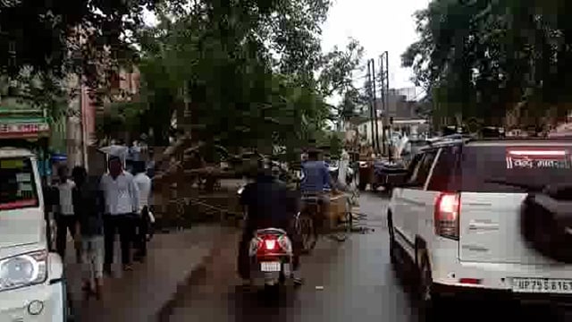 औरैया शहर के जिला अस्पताल रोड पर तेज बारिश के बाद सैकड़ो साल पुराना पेड़ गिरने से यातायात हुआ प्रभावित