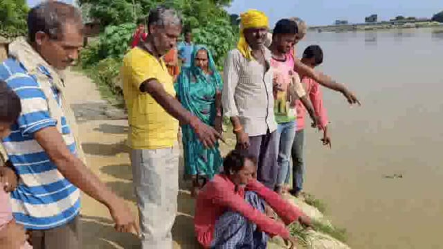 बिजौरा में बाढ़ से लोगों ने छोड़ा घर, गोशाला डूबी 120 गोवंश इधर-उधर ।