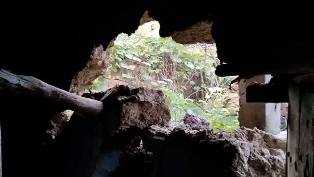 बारिश के कारण गिरा गरीब का घर, गरीब की मुसीबत को देखने नहीं आए ग्राम प्रधान भी #Bara Prayagraj 