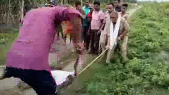 मिहींपुरवा स्थितमोतीपुर तहसील क्षेत्र के भूरेपुरवा गांव मे निकला विशालकाय अजगर मौके पर पहुंचे वनकर्मियो ने किया रेस्क्यू