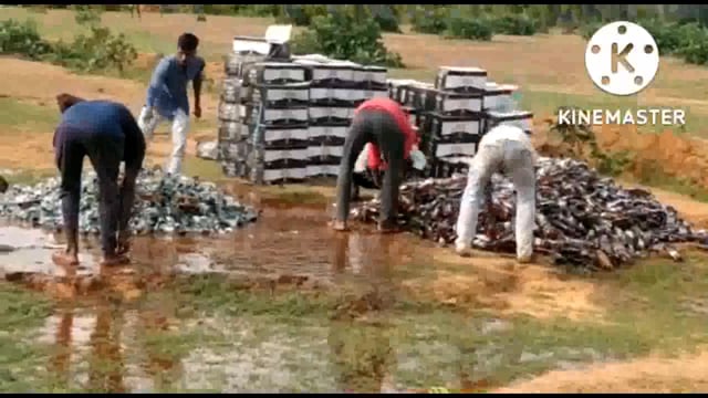 समाहर्ता बांका के आदेशानुसार बौसी थाना कांड में जप्त शराब को ड्रेन आउट विधि से किया गया नष्ट