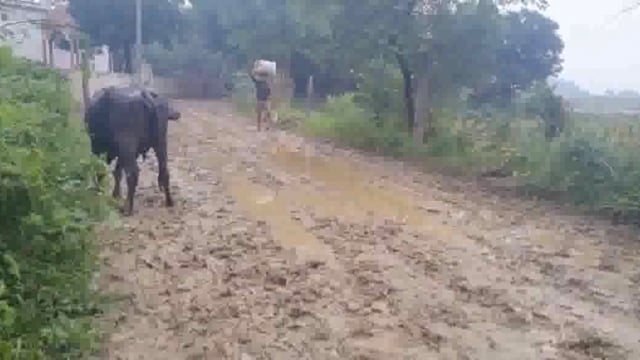 गोवर्धन की मोहरा गांव में हालात बद से बदतर ग्रामीण परेशान