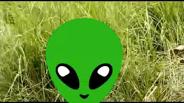 आधा दर्जन मृत गौवंश खुले में पड़े होने का वीडियो वायरल, विगत दिनों से पड़े हैं गौवंश, 
ब्लाक मांधांता ग्राम पूरे मोतीलाल