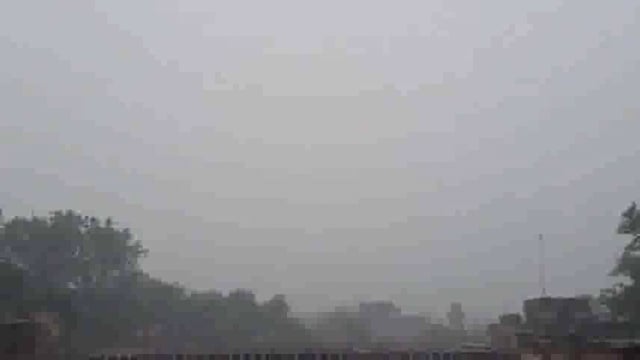 जिले के कई स्थानों पर पेड़ व मकानों पर गिरी आकाशी बिजली लाइव वीडियो आया सामने,अलग-अलग स्थानों पर 3 की मौत 2 घायल