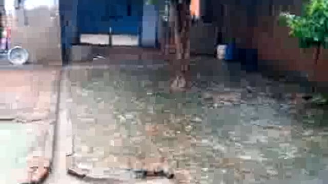 नहीं थम रहा इंद्रदेव का प्रकोप: सोनई क्षेत्र में झमाझम बारिश जारी