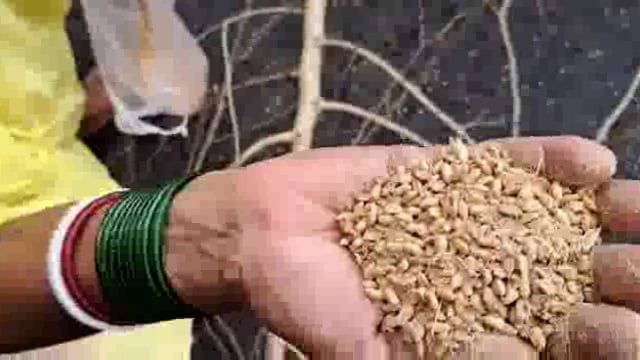 हवेली खड़गपुर डीलर के मनमानी के विरोध में खड़कपुर बरियारपुर मुख्य मार्ग कोड़ासी के समीप ग्रामीणों ने किया सड़क जाम।