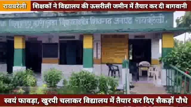 प्राथमिक विद्यालय बारी खेड़ा की ऊसरीली जमीन में शिक्षकों ने कड़ी मेहनत से तैयार कर दिए सैकड़ों पौधे