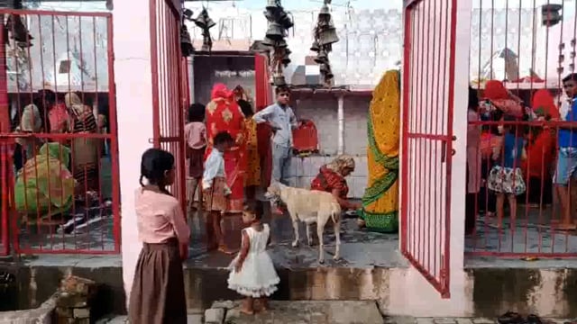 कन्नौज के इंदरगढ़ स्थित गमा देवी मंदिर में नवरात्र के प्रथम दिन भक्तों ने चढ़ाया जल लिया आशीर्वाद लगी भक्तों की भीड़