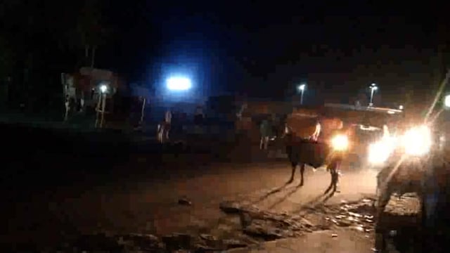 वृंदावन राया एक्सप्रेस वे कट को जाने वाले मार्ग पर पानीगांव चौराहे पर रोड के बीचों बीच खड़े रहते हैं दर्जनों गौ वंश।