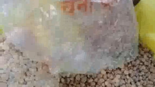 आंगनबाड़ी केंद्र पर फफूद लगी दाल का किया गया गर्भवती ओं को वितरण