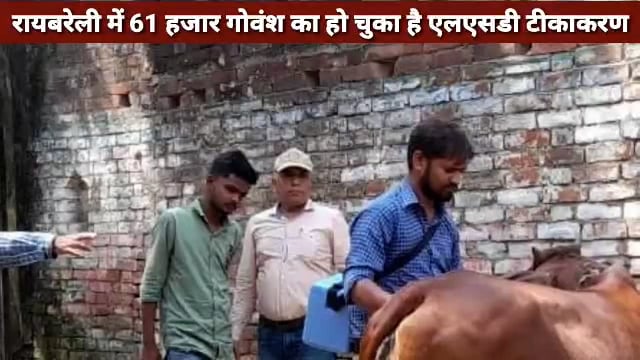 शिवगढ़ क्षेत्र में अब तक 4500 गोवंशो को लगाया जा चुका है एलएसडी टीका