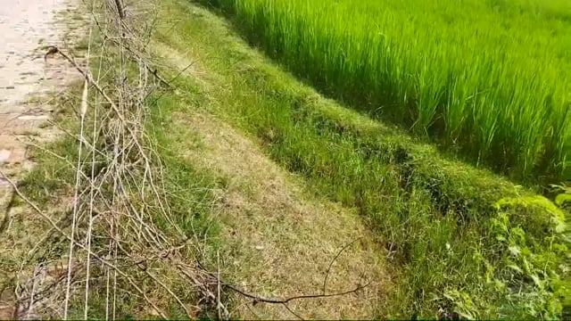 मनरेगा कार्य अपूर्ण,भुगतान लिया पूर्ण
ब्लाक के अधिकारी की मिलीभगत से भ्रष्टाचार की भेंट
ब्लाक रामपुर ग्राम रामपुर दाबी