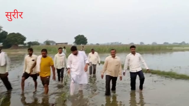 भाजपा विधायक राजेश चौधरी ने नष्ट फसलों का किया निरीक्षण मुआवजे का दिया आश्वाशन