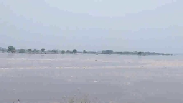 यमुना में कई दिनों से आ रही बाढ से यमुना के जलस्तर में लगातार हो रही वृद्धि का क्रम शुक्रवार को भी जारी रहा।