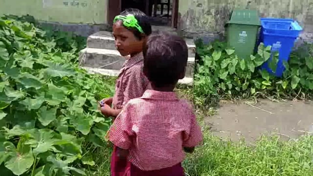 सौराडांग्ही गांव में संचालित आंगनबाड़ी केंद्र के रास्ते में जलजमाव व जंगली जंगलों से बच्चों को आवाजाही में परेशानी।