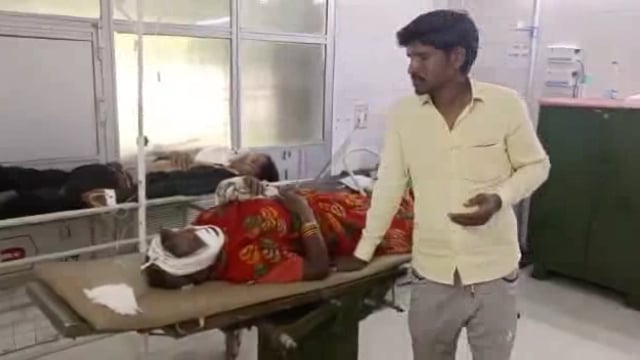 जंगली सियार के हमले में वृद्धा घायल