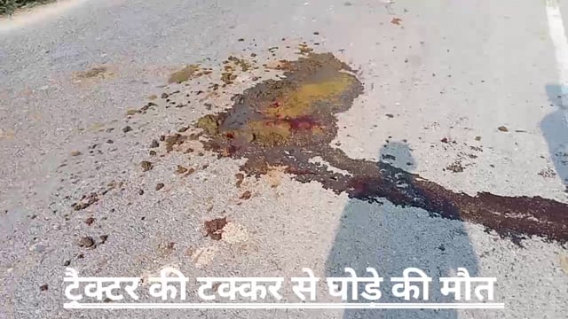 प्रतापगढ़।बाघराय थाना क्षेत्र अंतर्गत विहार बाजार के पास ट्रैक्टर की टक्कर से बछड़े की मौत।