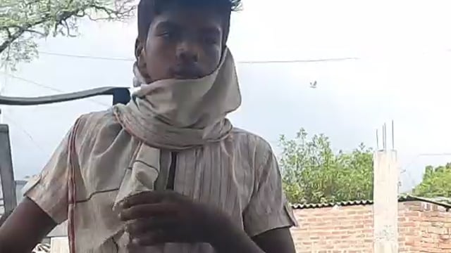 नवाबगंज क्षेत्र के कई गांव में लंगूर बंदरों का आतंक जारी कई लोगों को काट कर किया घायल