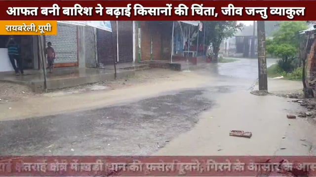 आफत बनी बारिश ने बढ़ाई किसानों की चिन्ता, जीव जंतु व्याकुल