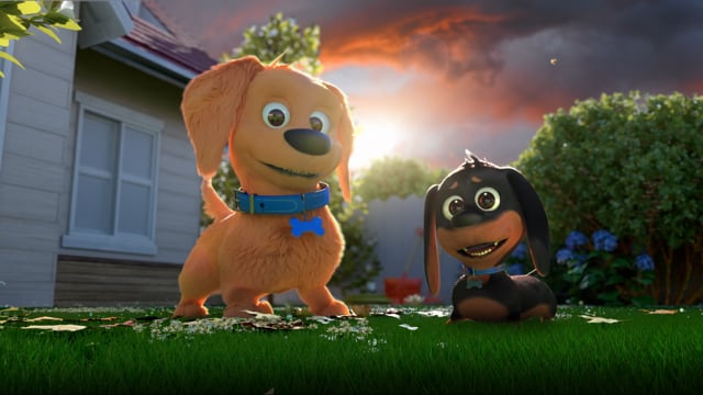 Champion Dog hero
