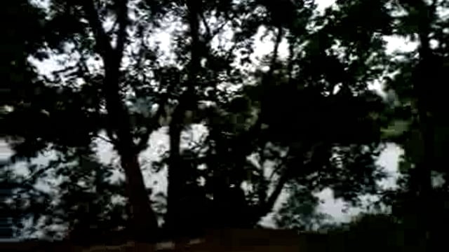 नहीं थम रहा इंद्रदेव का प्रकोप: झमाझम बारिश जारी 