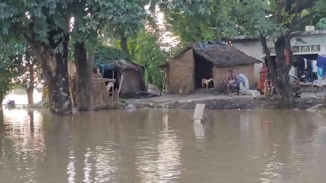 जिले में पिछले 2 दिनों से हो रही बारिश से इटवा तहसील क्षेत्र के कमता,बेतनार सहित दर्जनों गांव बाढ़ की चपेट में ।
