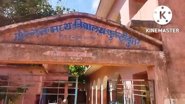 प्रखंड शिक्षा पदाधिकारी ने प्रोन्नत मध्य विद्यालय फुल्लीडुमर का किया औचक निरीक्षण