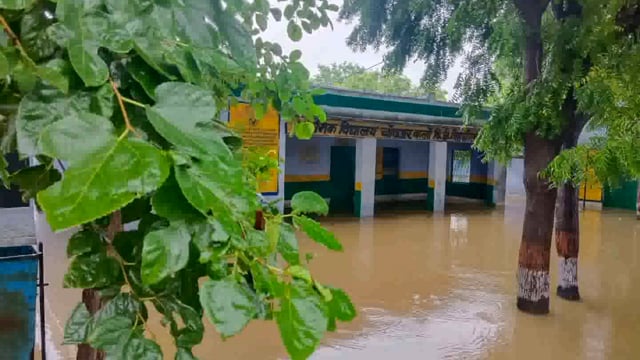 अतिवृष्टि के चलते चांदपुर गांव बना ताल तलैया घर और विद्यालयों में घुसा पानी फसल हुई शति प्रतिशतबर्वाद